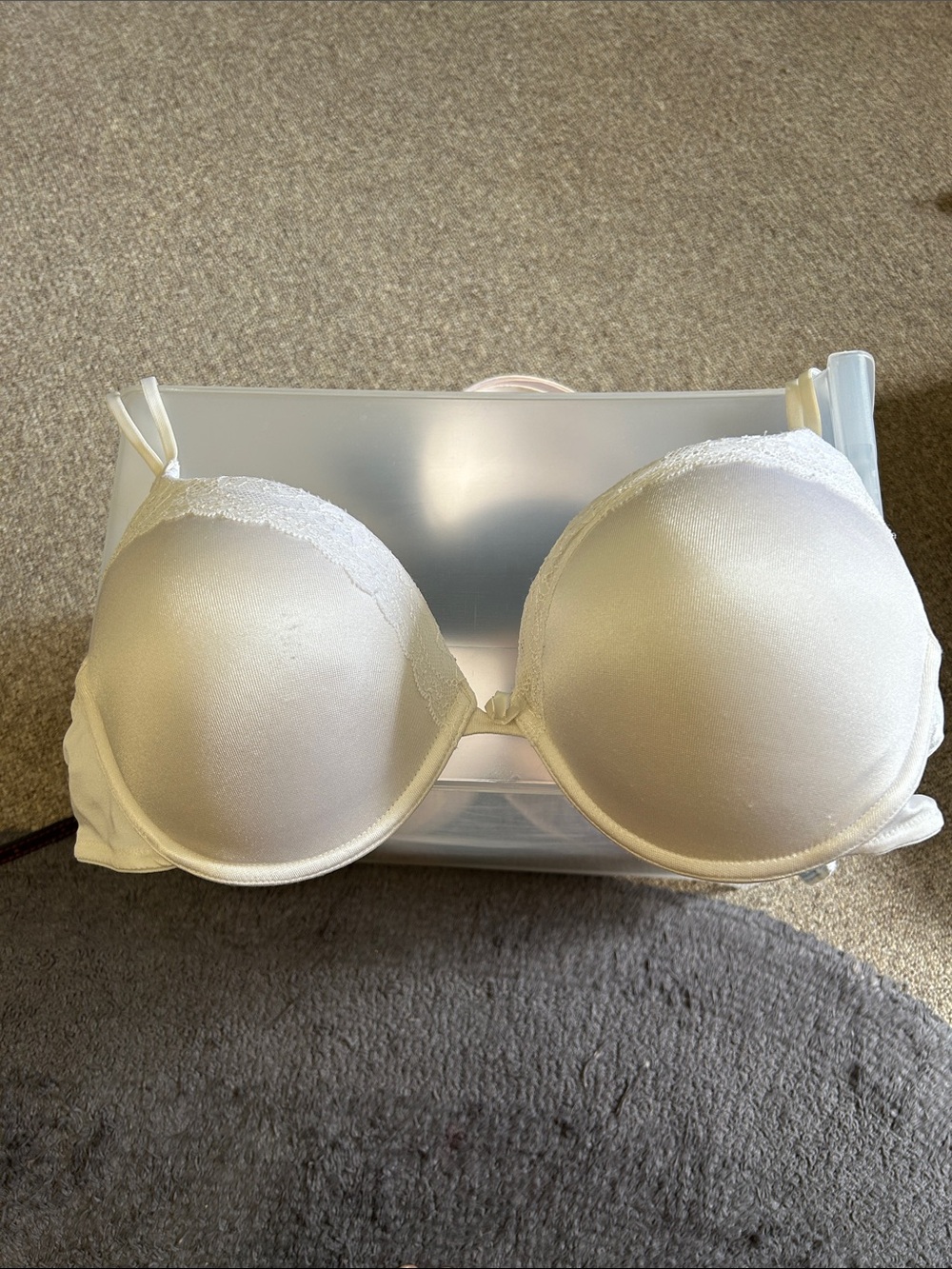 Vassarette Ivory Lace-Trim T-Shirt Bra Size 38c